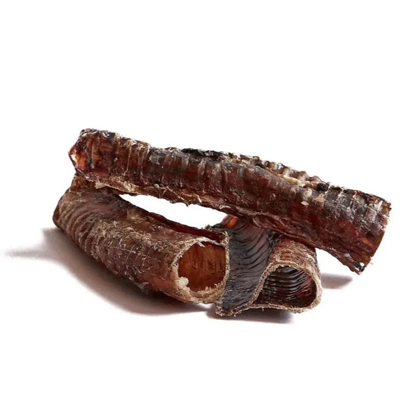 Beef Trachea for Dogs - Canino Dog Food