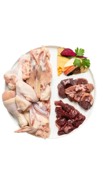 Premium Mix Raw Dog Food – Canino
