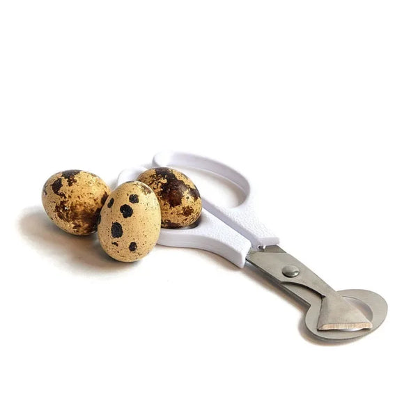 Quail Egg Scissors - Canino Dog Food